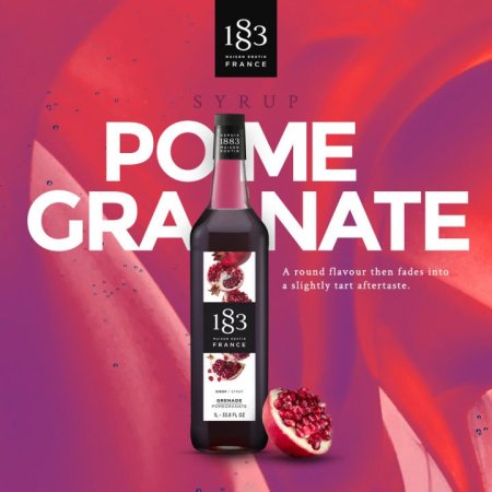 1883 رمان سيروب